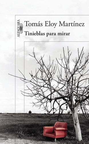 Tinieblas Para Mirar, De Martínez, Tomás Eloy. Editorial Alfaguara, Tapa Blanda En Español
