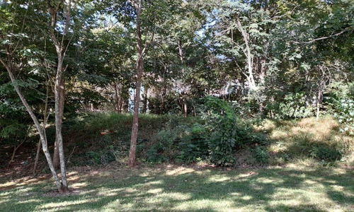 Imagem 5 de 17 de Terreno No Residencial Aldeia Do Vale - 2153