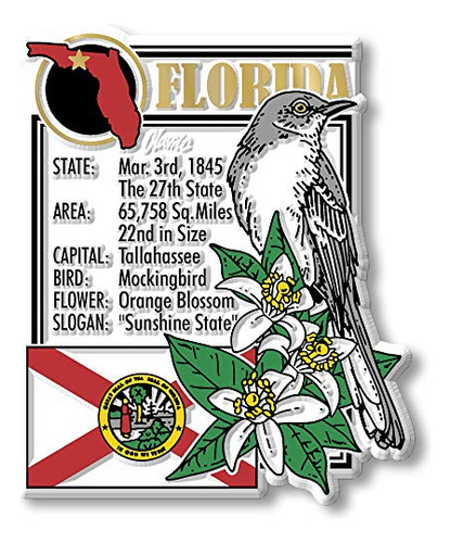 Imán De Montaje Del Estado De Florida De Classic Magnets, 2,