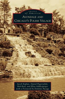 Libro Avondale And Chicago's Polish Village - Kaplan, Jacob