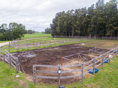 Campo En Venta En Florida Ref. 4408 (ref: Cbr-669)