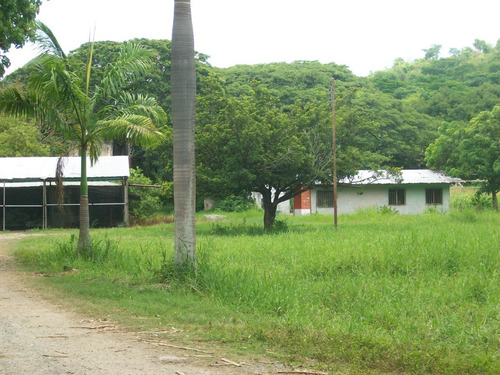 Imagen 9 de 22 de Documento Legal, Comprada Al Banco Agrícola Y Pecuario. Estudio De Origen Legal De La Propiedad