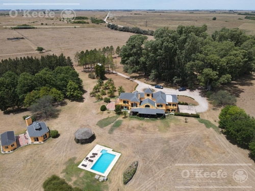Imagen 4 de 24 de Campo En Venta 50 Has En Punta Indio - Excelente Casco - Ideal Haras