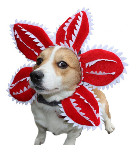 Gorro Para Mascotas De Halloween, Cómodo, Vívido, Con Forma