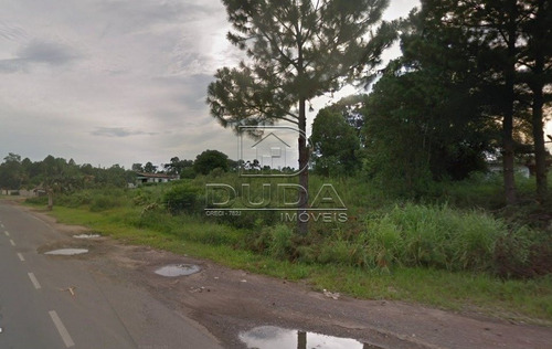 Imagem 13 de 15 de Terreno Comercial - Sangao - Ref: 30533 - V-30531