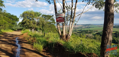 Chácaras_sítios_fazendas Para Venda - 13650.5197