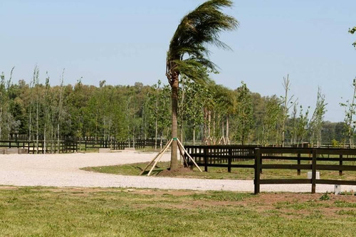 Imagen 11 de 29 de Oportunidad Venta De Amplio Lote En La Mejor Zona De Polo - Caspian Polo Chacras