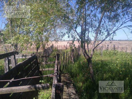 Campo 70 Has. Ranchos, General Paz. Buenos Aires.