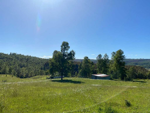Campo, Localidad De Hueyusca (66783)