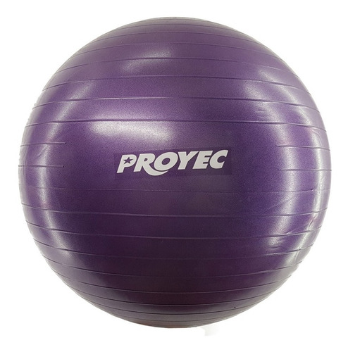 Imagen 1 de 5 de Pelota Pilates 75 Cm Yoga Para Esferodinamia Proyec Gym