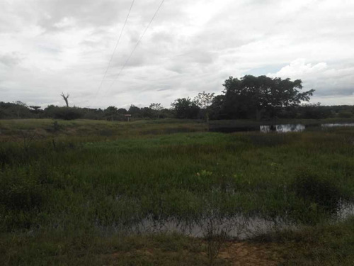 Imagen 3 de 4 de Venta De Finca,arjona,bolivar