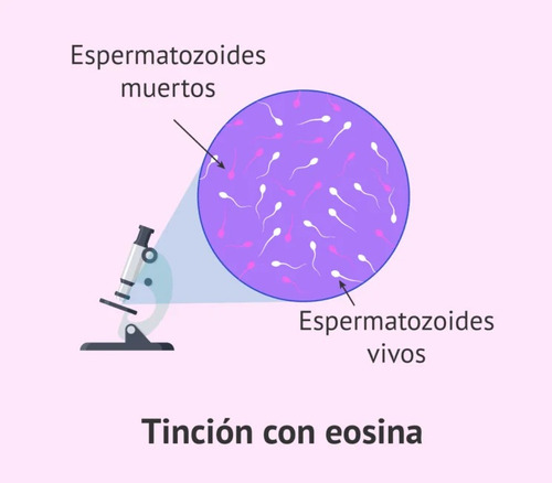 Tinción Eosina - Vitalidad Espermática 30 Ml - Caflab -
