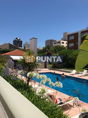 Imagen 7 de 7 de Apartamento En Playa Brava Alquilar