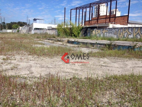 Imagem 4 de 14 de Terreno Para Alugar, 4400 M² Por R$ 27.000,00/mês - Vila Vivaldi - São Bernardo Do Campo/sp - Te0190