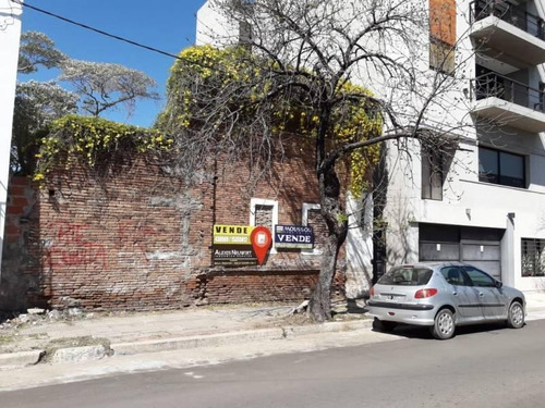 Imagen 2 de 3 de Gervasio Mendez Casi Mitre