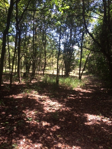 Imagem 16 de 20 de Melhor Área P/loteamento 91m Beira Pista, Granja 5.05 Hec, Guabiraba, Aceito Imóvel Ou Carro - Ch00009