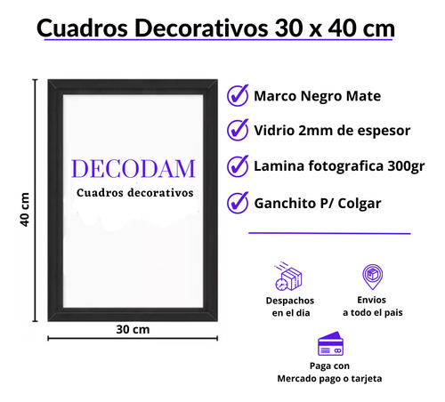 Cuadro Manchester United Escudo Futbol 30x40cm List P Colgar