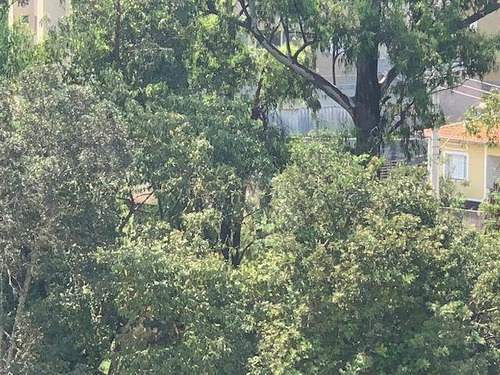 Imagem 28 de 30 de Apartamento À Venda, 56 M² Por R$ 250.000,00 - Jardim Carambeí - São Roque/sp - Ap0120
