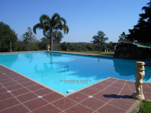 Chacra Con Tres Casas Piscina Caballeriza, Galpón Y Olivos