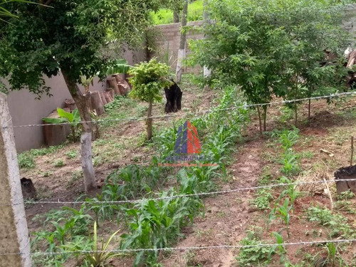 Imagem 19 de 28 de Chácara Com 2 Dormitórios À Venda, 730 M² Por R$ 450.000,00 - Chácara Recreio Cruzeiro Do Sul - Santa Bárbara D'oeste/sp - Ch0038
