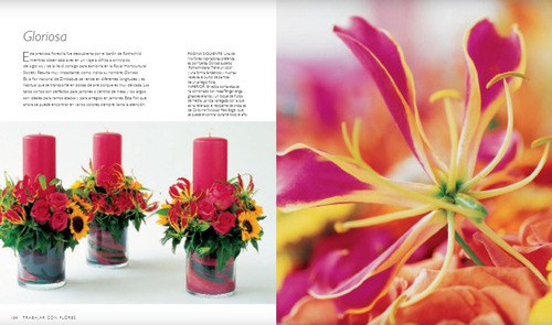 Diseño Floral, De Paula Pryke. Editorial Blume, Tapa Dura En Español, 2018