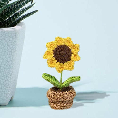 2x De Crochê Iniciante Diy Feito À Mão Adulto E