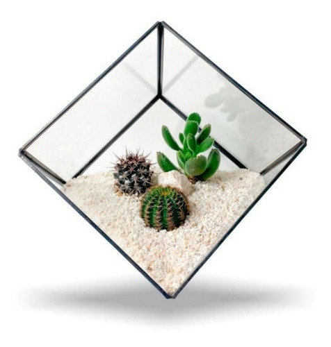 Imagen 1 de 2 de Terrario Tropical Geometric Cube - Mica&maco