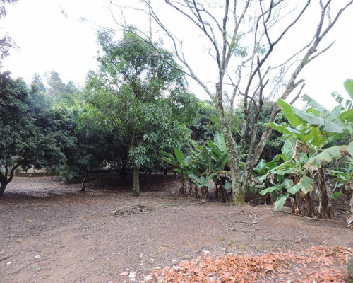 Terreno À Venda Em Vinhedo/sp. - Te000664 - 68393905