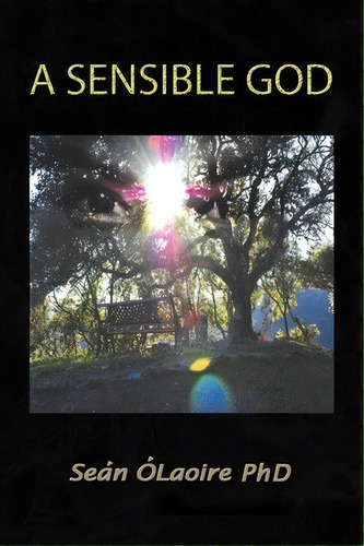 A Sensible God, De Sen Laoire. Editorial Xlibris Corporation, Tapa Blanda En Inglés