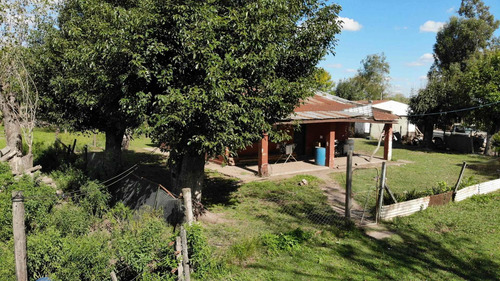 Imagen 23 de 25 de Venta Campo 83,3 Hectareas Agrícolas En Lima