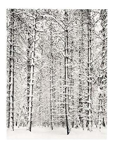 Bosque De Pinos En La Nieve, Parque Nacional De Yosemite, 19