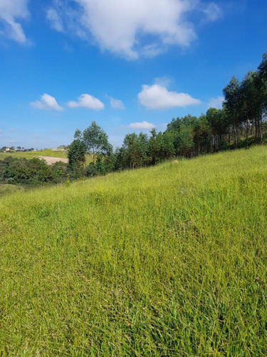 Imagem 8 de 14 de B23 Terreno Em Santa Isabel 1000m² Preços Que Cabem No Seu Bolso