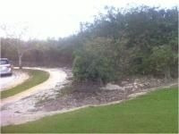 Imagen 5 de 6 de Terreno En El Country Club