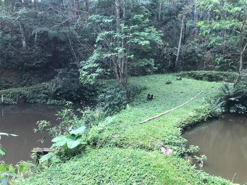 Imagem 10 de 29 de Chácaras À Venda Em Jarinú/sp - Compre O Seu Chácaras Aqui! - 1428340