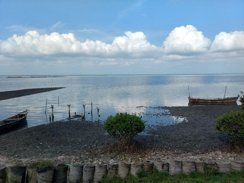Venta Rancho 100 Hectáreas Sacrificios Tamiahua Veracruz