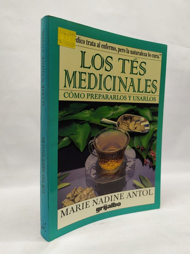 Los Tes Medicinales: ¿cómo Prepararlos Y Usarlos?