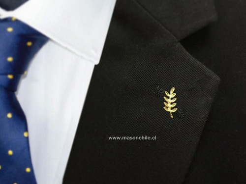 Nuevo Pin Masónico Acacia. Premium, Masón Oferta