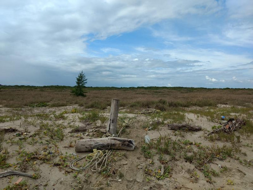 Venta Terreno 50 Hectareas Frente Playa Tamiahua Veracruz