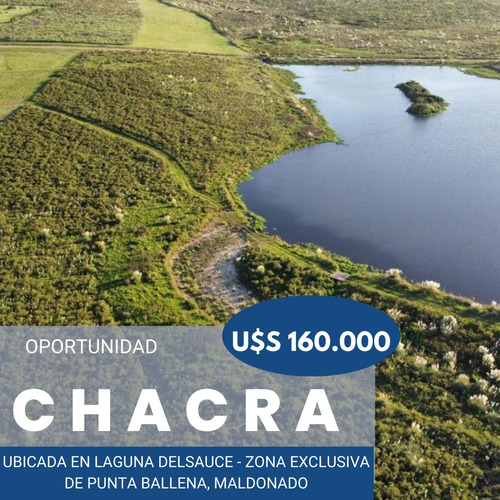 Chacra En Venta 5.6 Has En Laguna Del Sauce. Excepcional. 