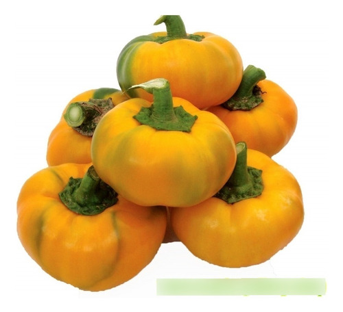 150 Semillas De Pimienta-dulce-roja Rotund Amarillo