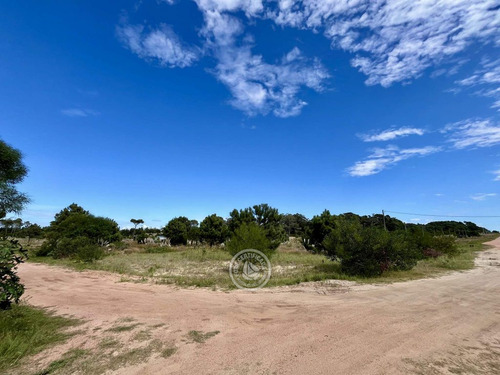 Terrenos En Zona Bosque De La Viuda En Punta Del Diablo