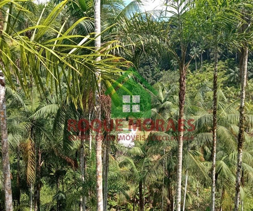Imagem 29 de 30 de Sítio Medindo 34.000 M² No Vale Do Ribeira Sp Ref.: 0898