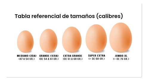 Huevos Súper Extra Gallinas Libres (100 Unid)