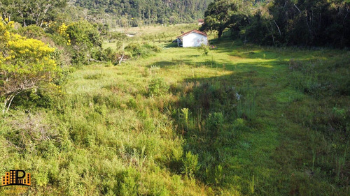 Imagem 15 de 30 de Chácara À Venda 7.500m2 Terreno Contendo Agua, Energia Elétrica, Casa Localizada Na Estrada Dos Borges Bairro Barrinha - São Lourenço Da Serra/sp - Ch07793 - 70644167
