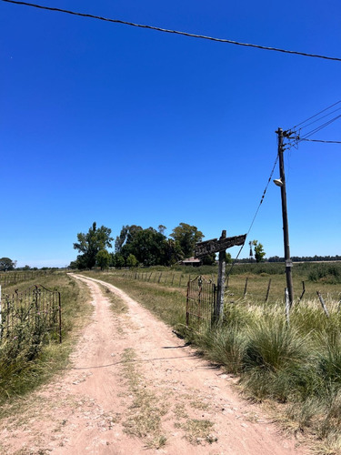 Campo, El Martillo, Marcos Paz.