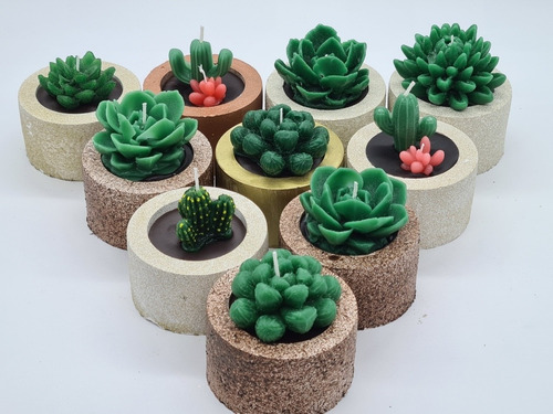 25 Velas Artesanal Cactus, Suculenta Aromática Base Concreto