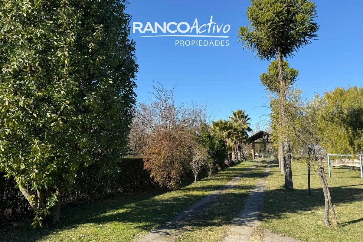 Imagen 5 de 30 de Se Vende Gran Casa Y Campo Agricola En Cabrero