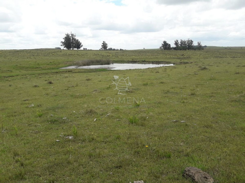 Imagen 3 de 20 de Campo En Paraje Jose Ignacio - Consulte!!!!!! - Jose Ignacio