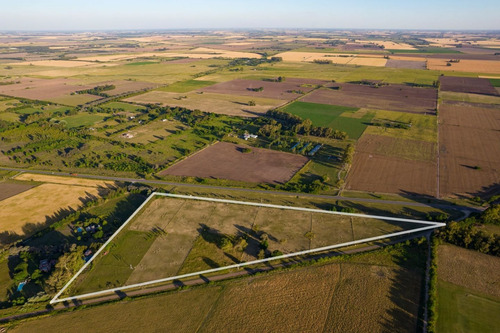 Imagen 1 de 12 de Chacra 1 Ha. - Las Juntas - San Antonio De Areco