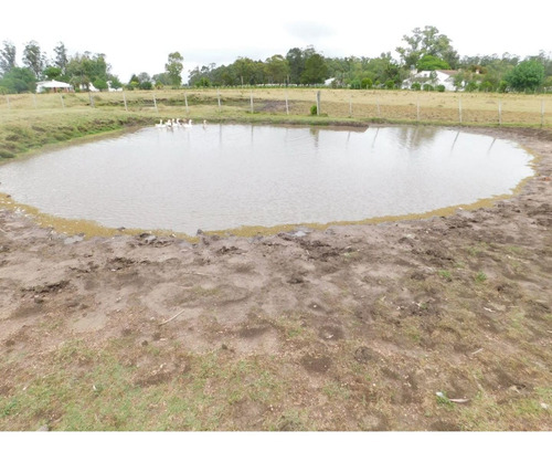 Venta De Campo En Maldonado - 35has Coneat 134